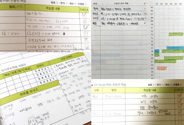 와와 공식 플랜 관리 소개 이미지